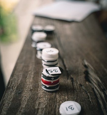 Exploring the Thrill of Online Casino 88 Fortunes